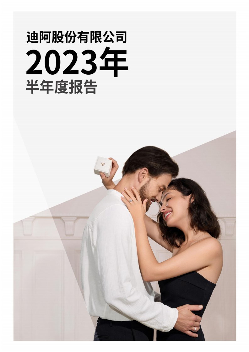 深交所-迪阿股份：2023年半年度报告-20230829