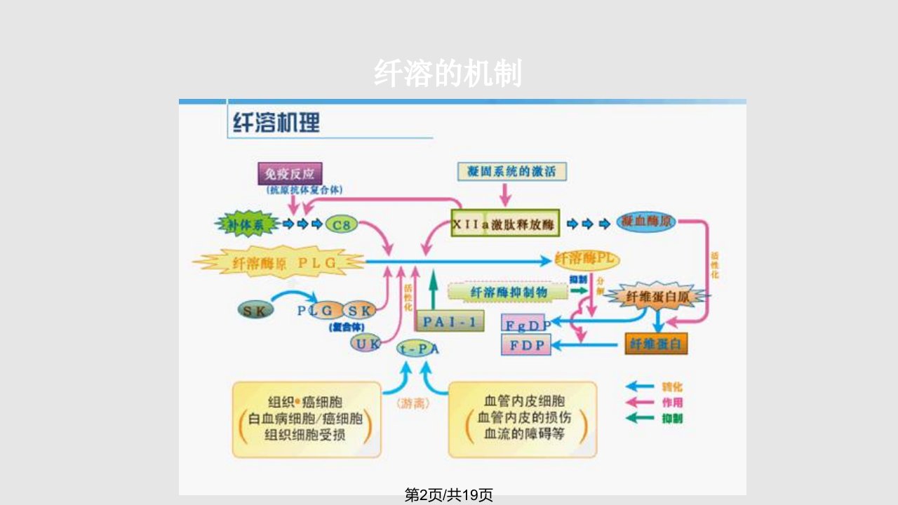 氨甲环酸在骨科中的应用情况