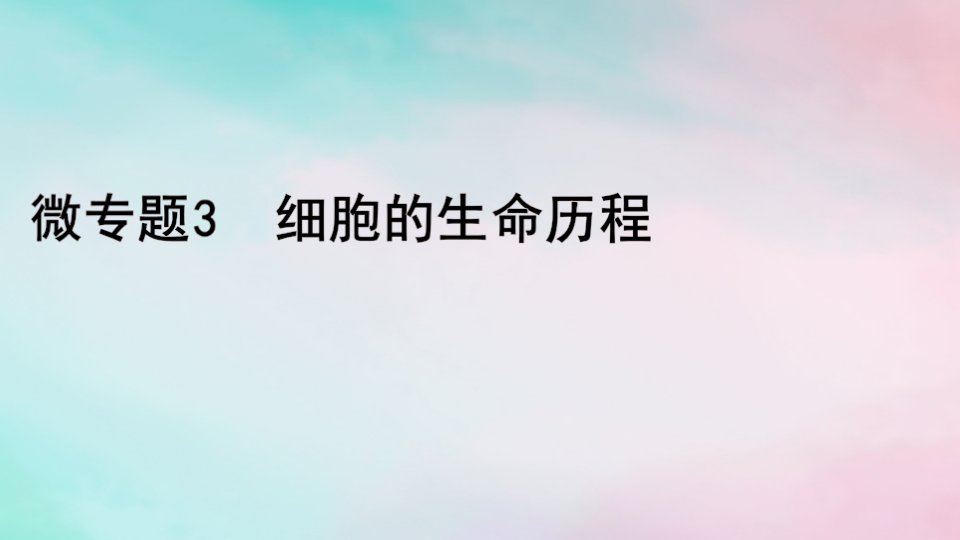 2024届高考生物考前冲刺第1篇专题素能提升专题1细胞微专题3细胞的生命历程课件