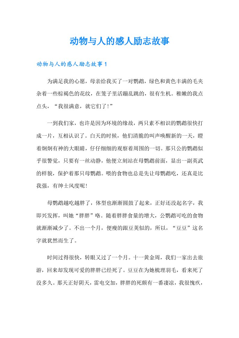 动物与人的感人励志故事