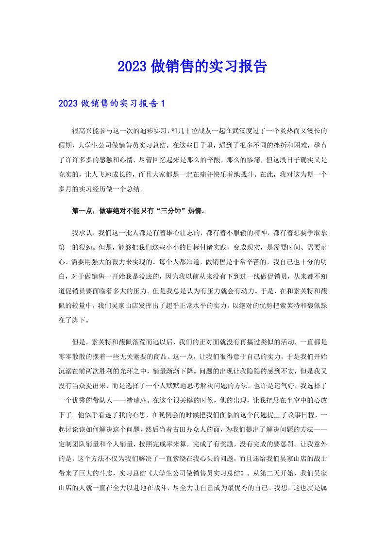 2023做销售的实习报告