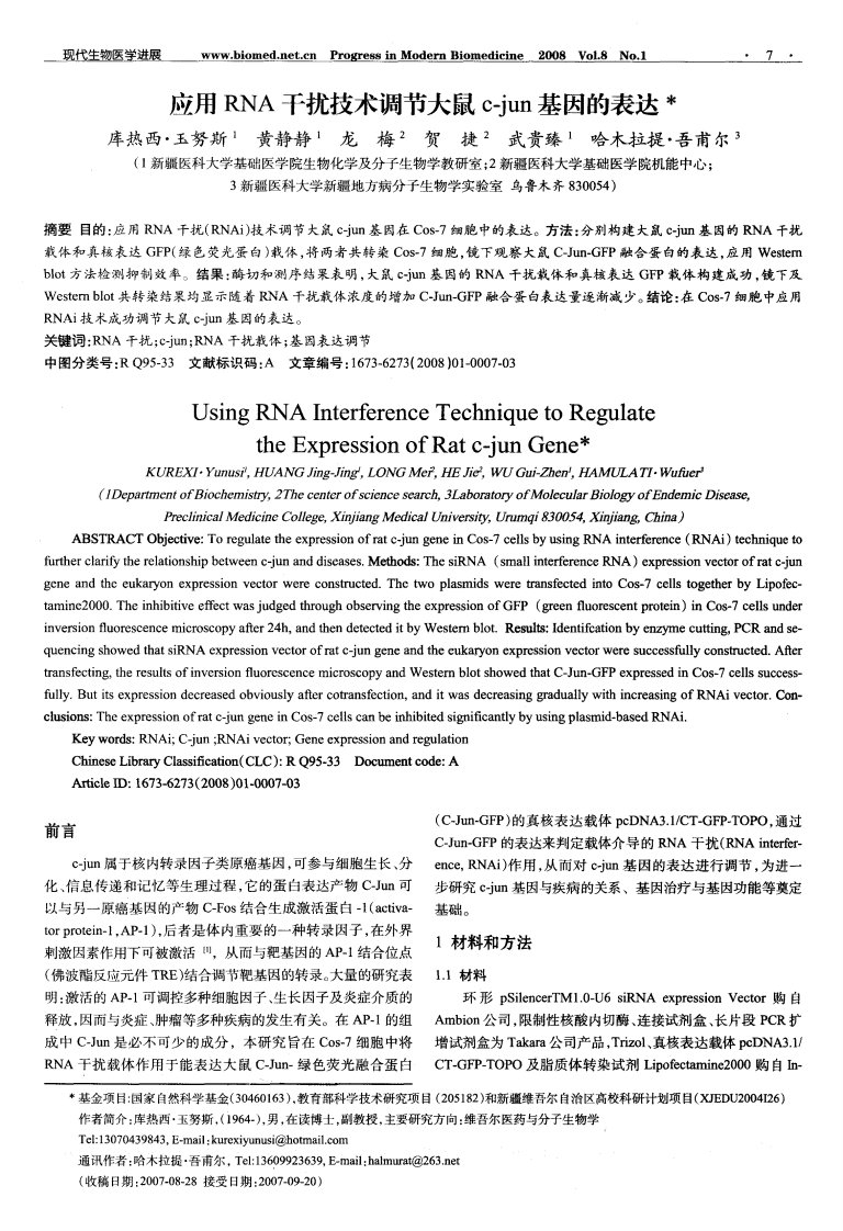 应用RNA干扰技术调节大鼠c-jun基因的表达