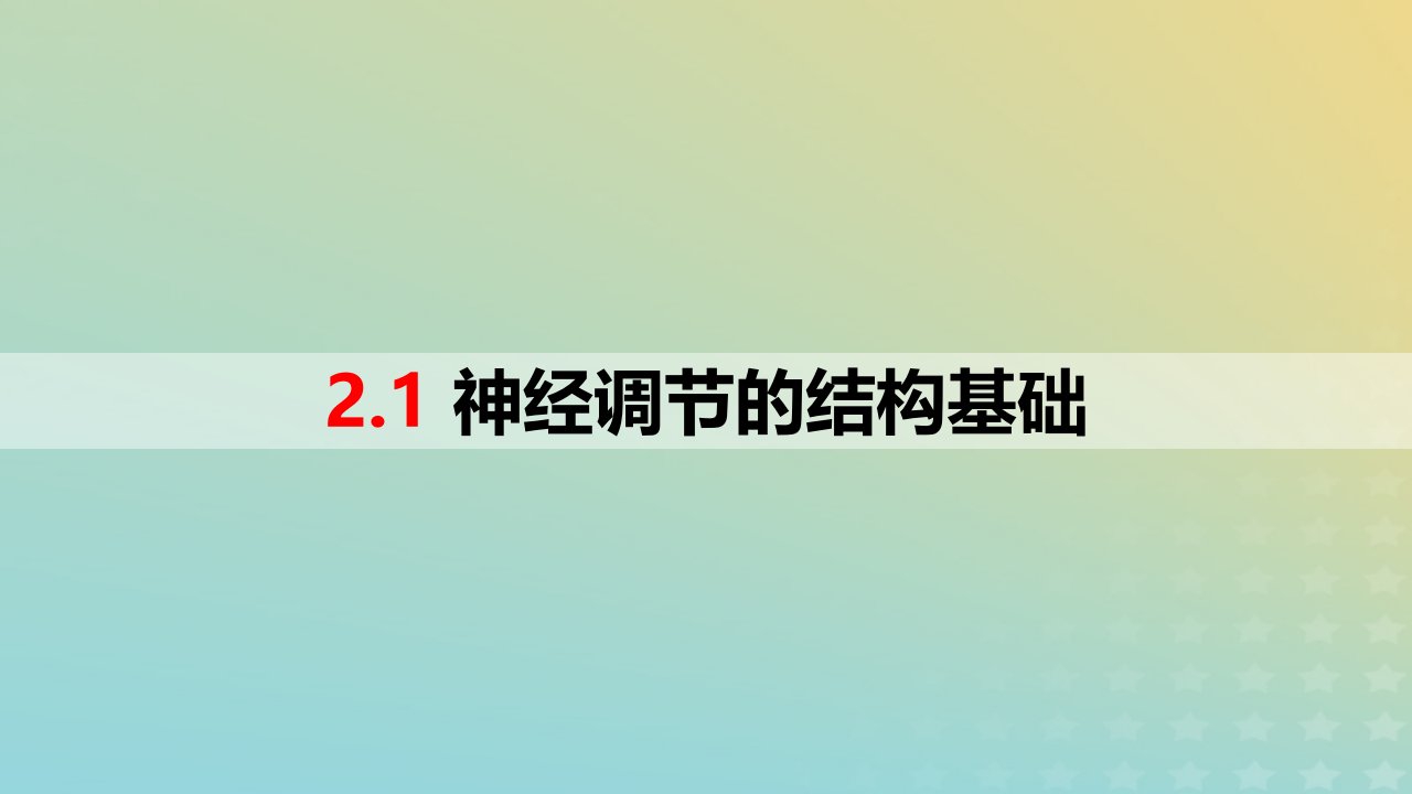 2023_2024学年同步备课精选高中生物2.1神经调节的结构基次件新人教版选择性必修1