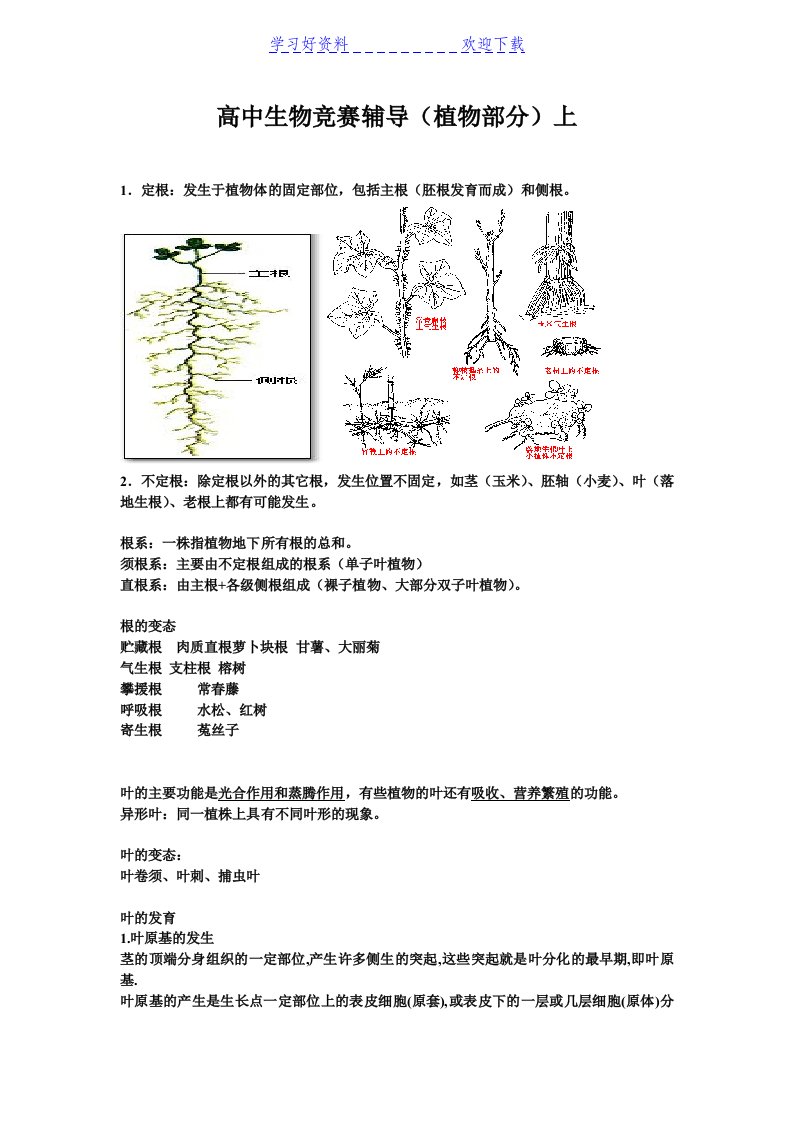 湖北芳岭高中生物竞赛辅导(植物部分)中