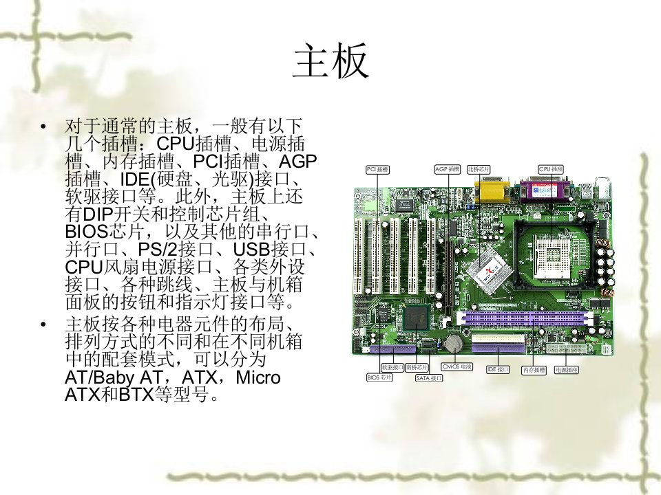 研究性学习成果展示