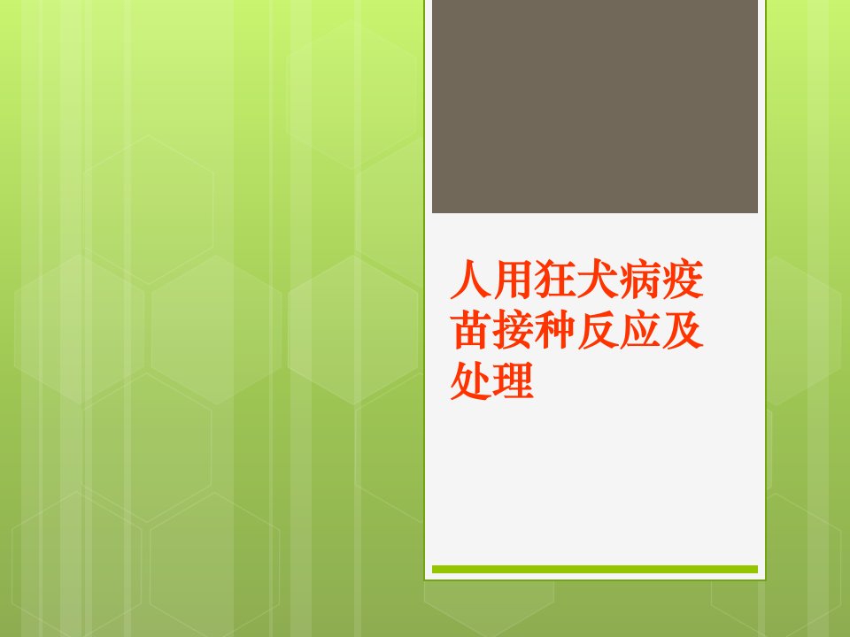 狂犬病疫苗接种反应及处理幻灯片课件