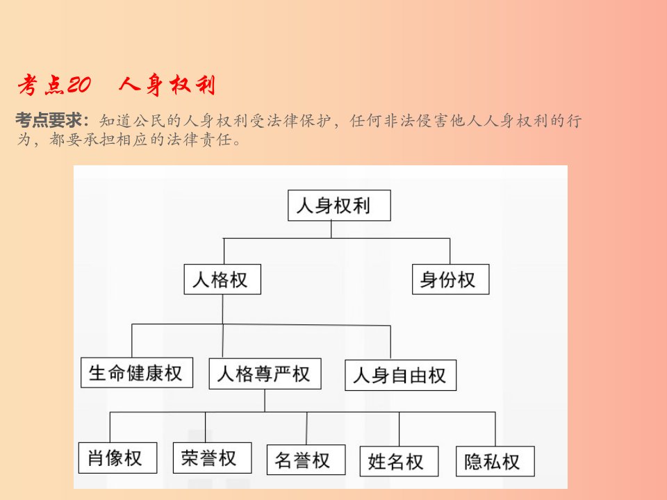 （江西专用）2019届中考道德与法治总复习