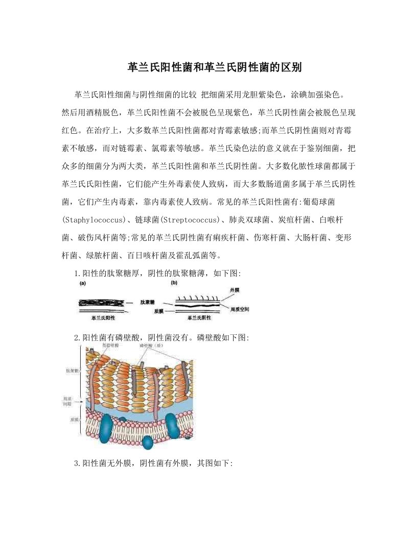 ntzAAA革兰氏阳性菌和革兰氏阴性菌的区别