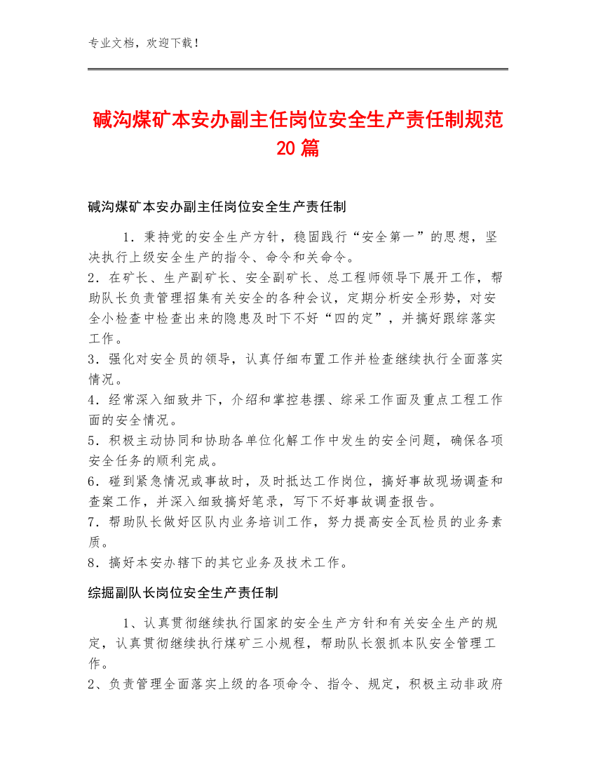 碱沟煤矿本安办副主任岗位安全生产责任制规范20篇