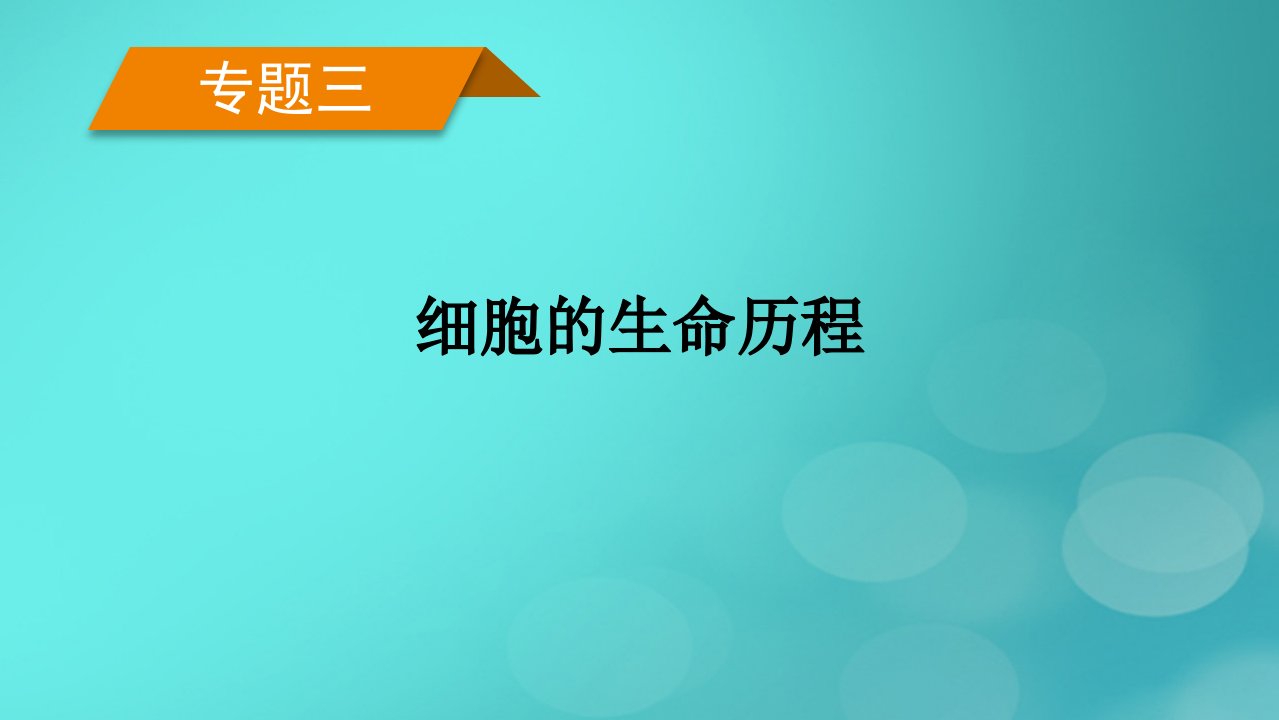 新高考适用2023版高考生物二轮总复习专题3细胞的生命历程第1讲有丝分裂与减数分裂课件