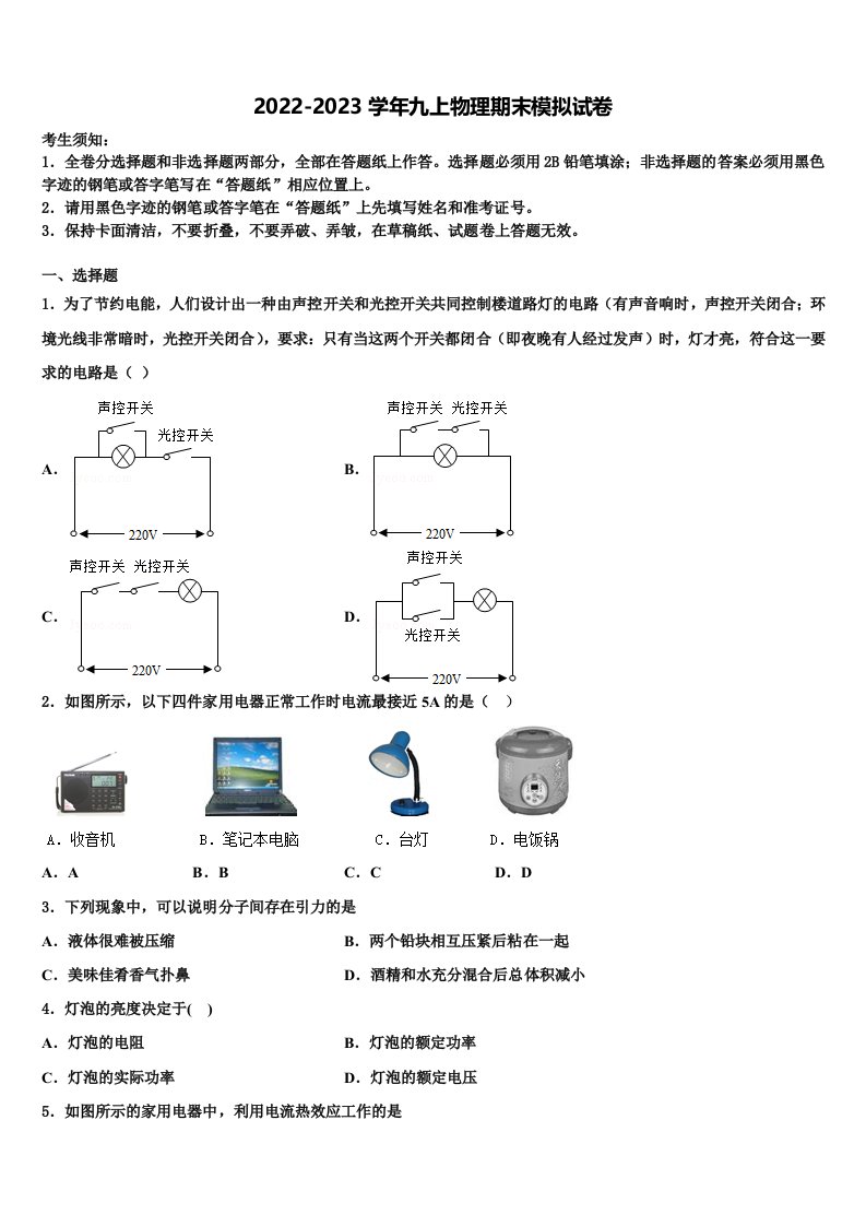 2023届山东省青岛市平度市物理九年级第一学期期末调研试题含解析