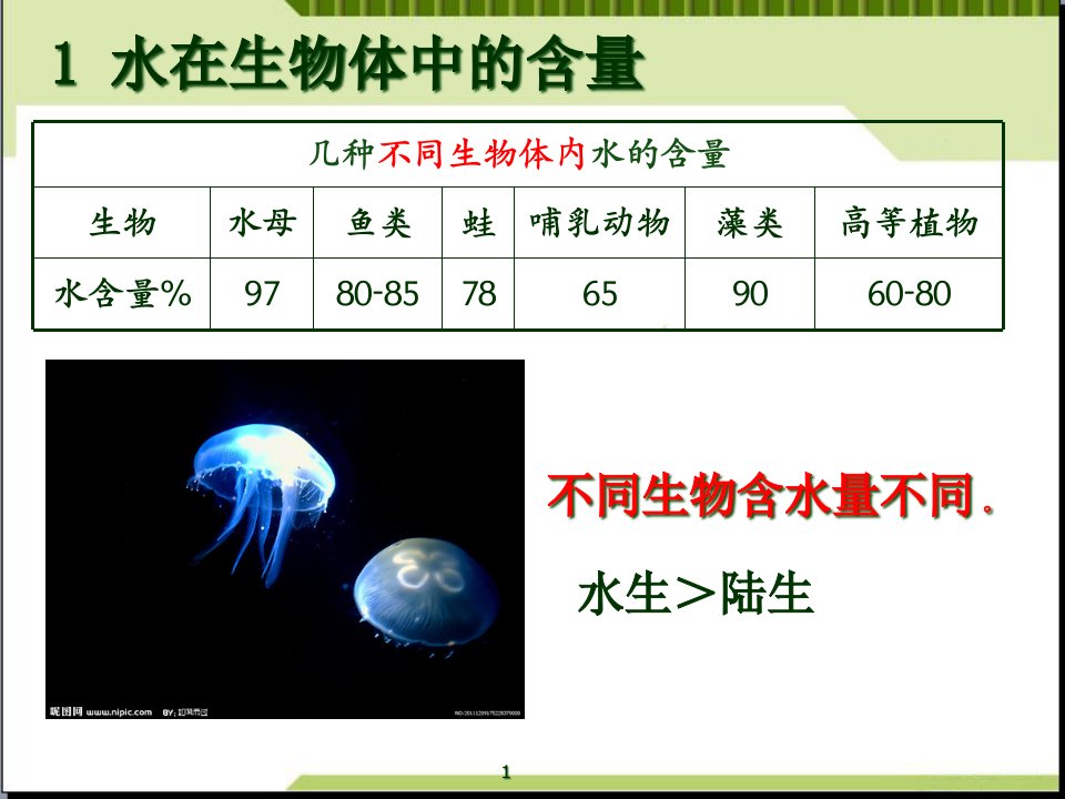 齐鲁医学细胞中的无机物