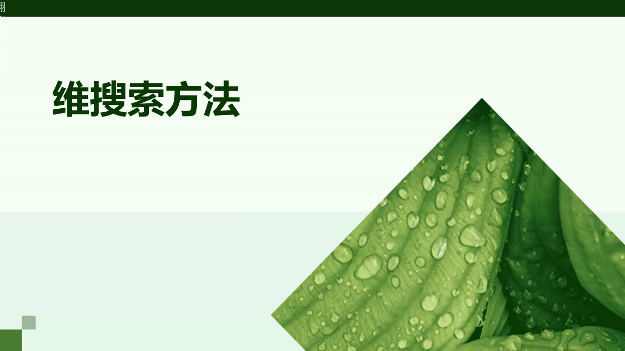 《维搜索方法》课件