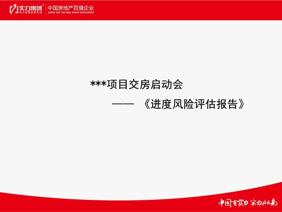 项目进度风险评估报告