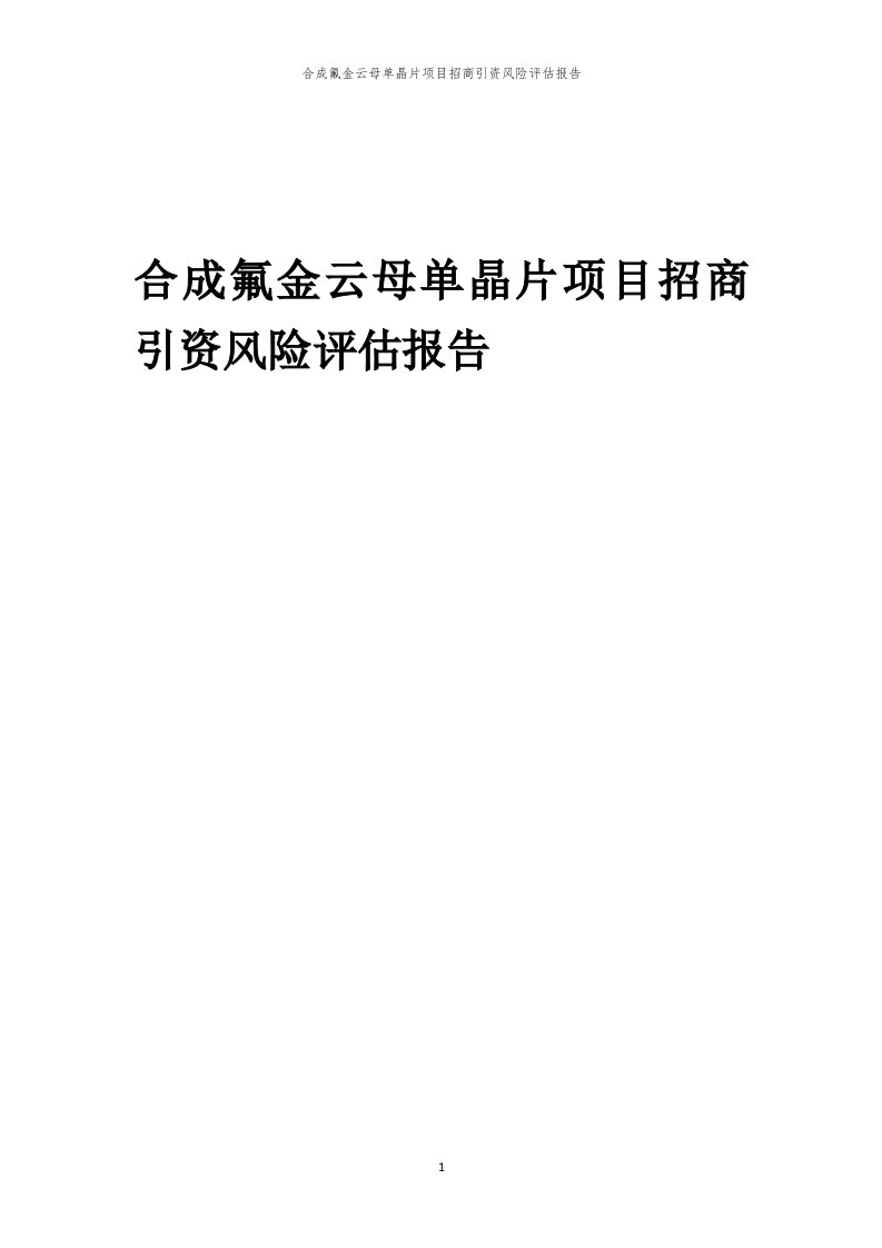 2023年合成氟金云母单晶片项目招商引资风险评估报告