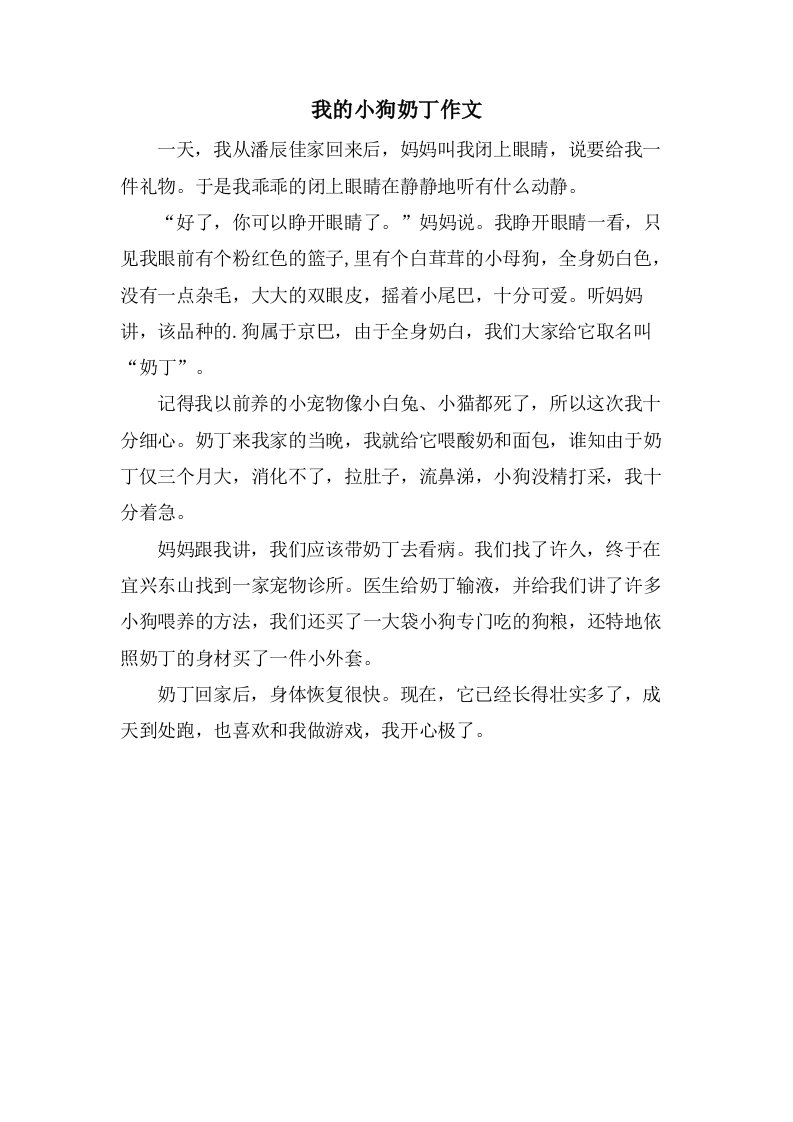 我的小狗奶丁作文