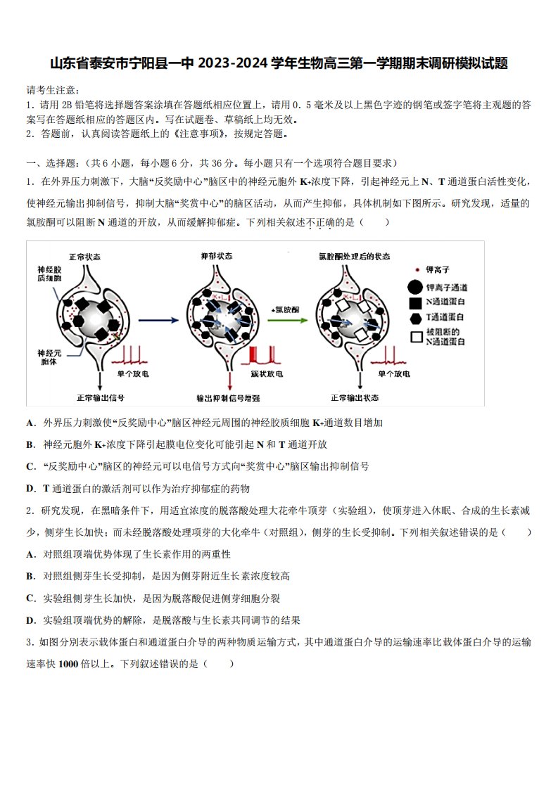 2024学年生物高三第一学期期末调研模拟试题含解析