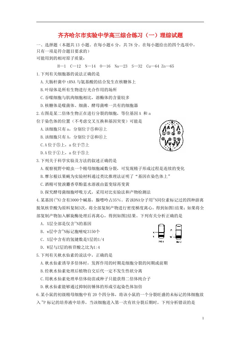 黑龙江省齐齐哈尔市实验中学高三理综（生物部分）综合练习试题（一）新人教版