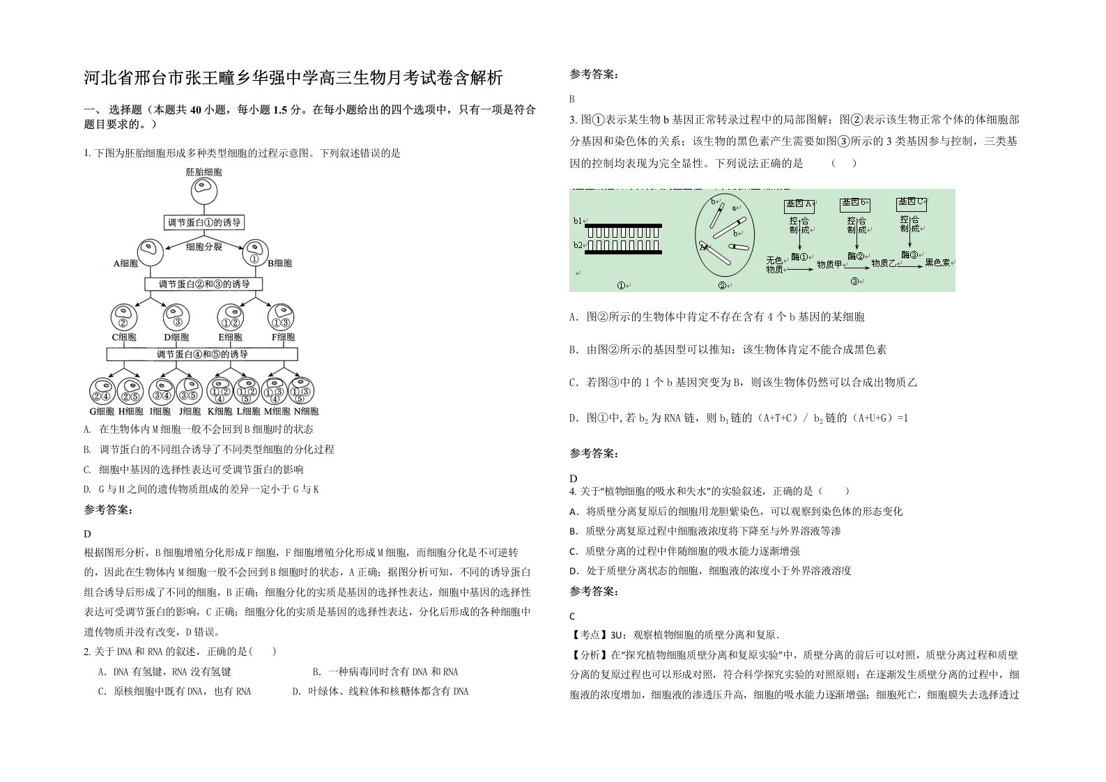 河北省邢台市张王疃乡华强中学高三生物月考试卷含解析