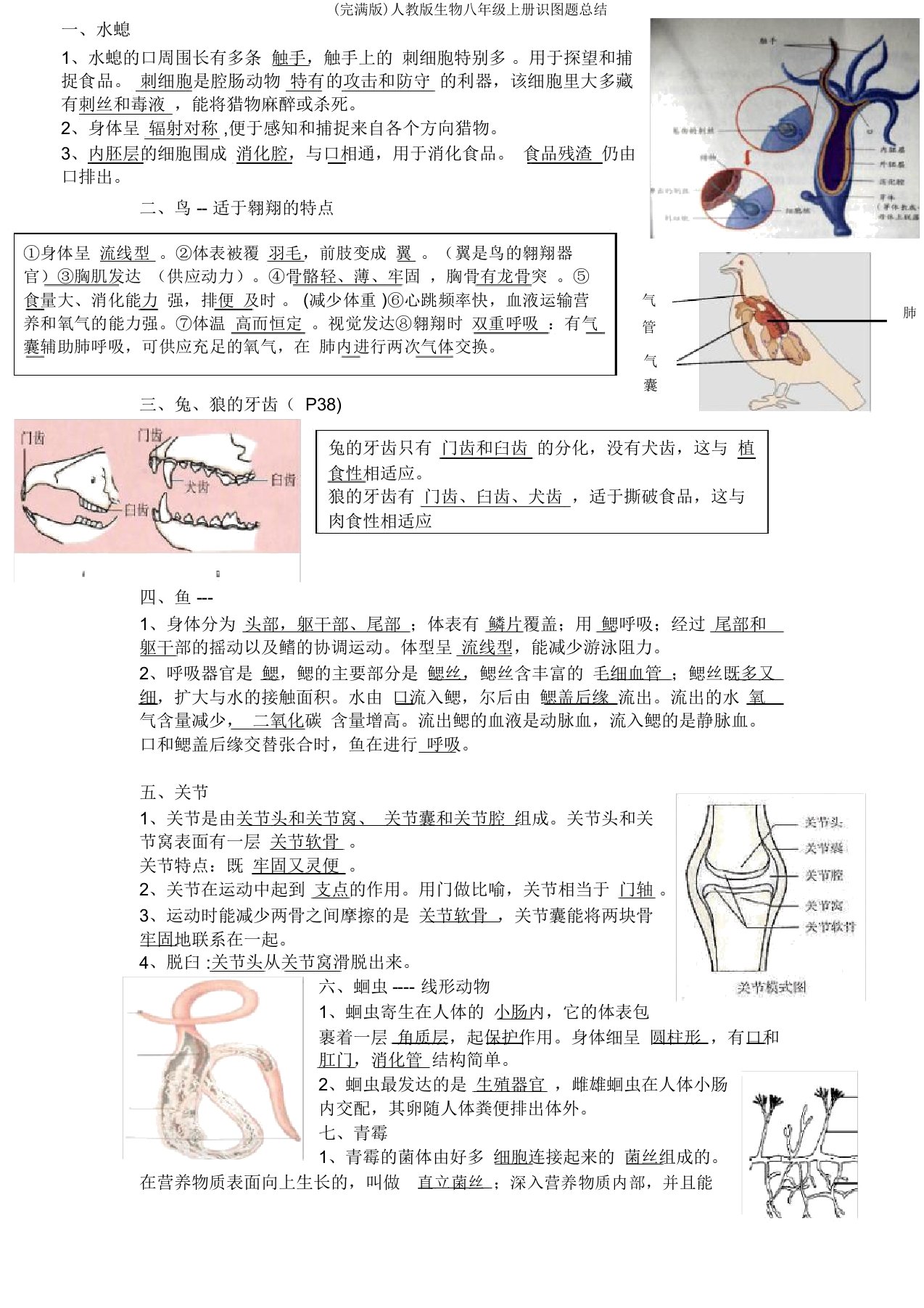 人教生物八年级上册识图题总结