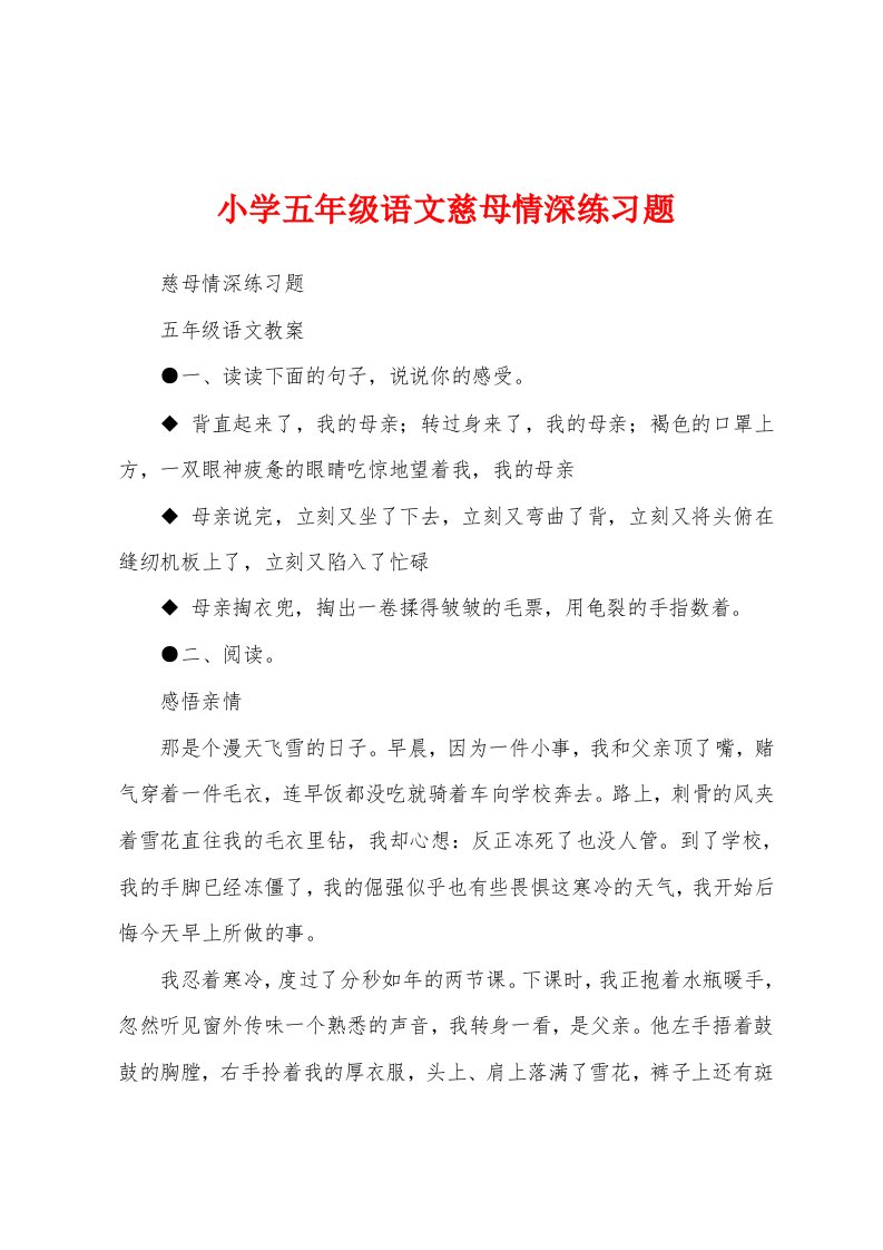 小学五年级语文慈母情深练习题