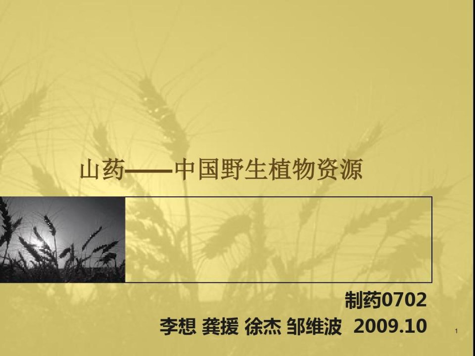 山药——化学成分,药理作用,医药应用等