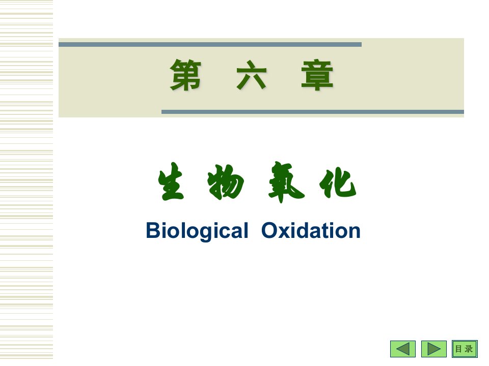 生物氧化第六部分课件