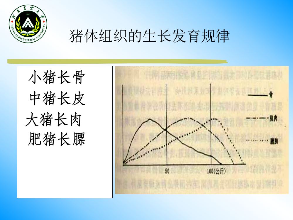 猪生产学-河南农业大学--生长肥育猪饲养管理