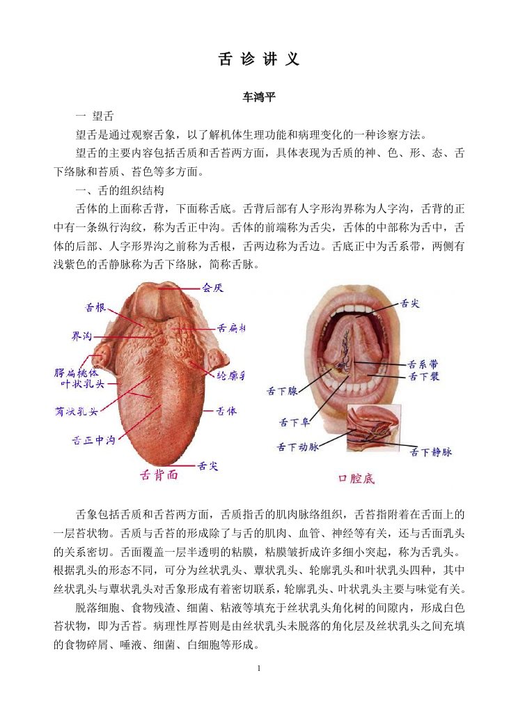 舌诊讲义