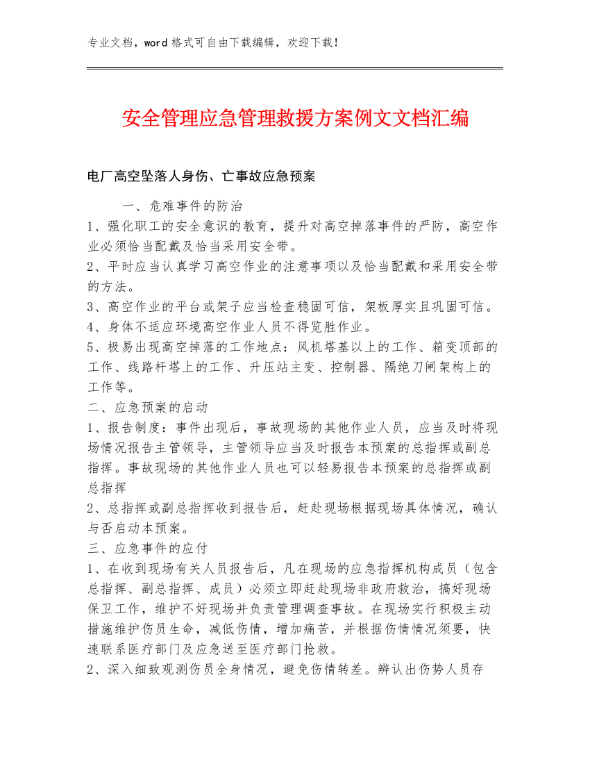 安全管理应急管理救援方案例文文档汇编