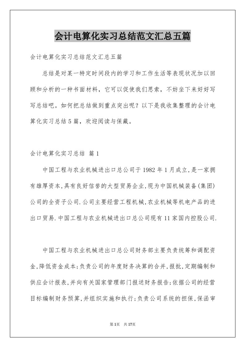 会计电算化实习总结范文汇总五篇