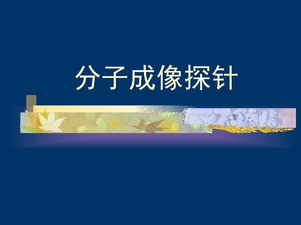 分子成像探针ppt演示课件