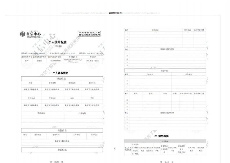 个人征信报告模板征信报告模板(带水印)精编版