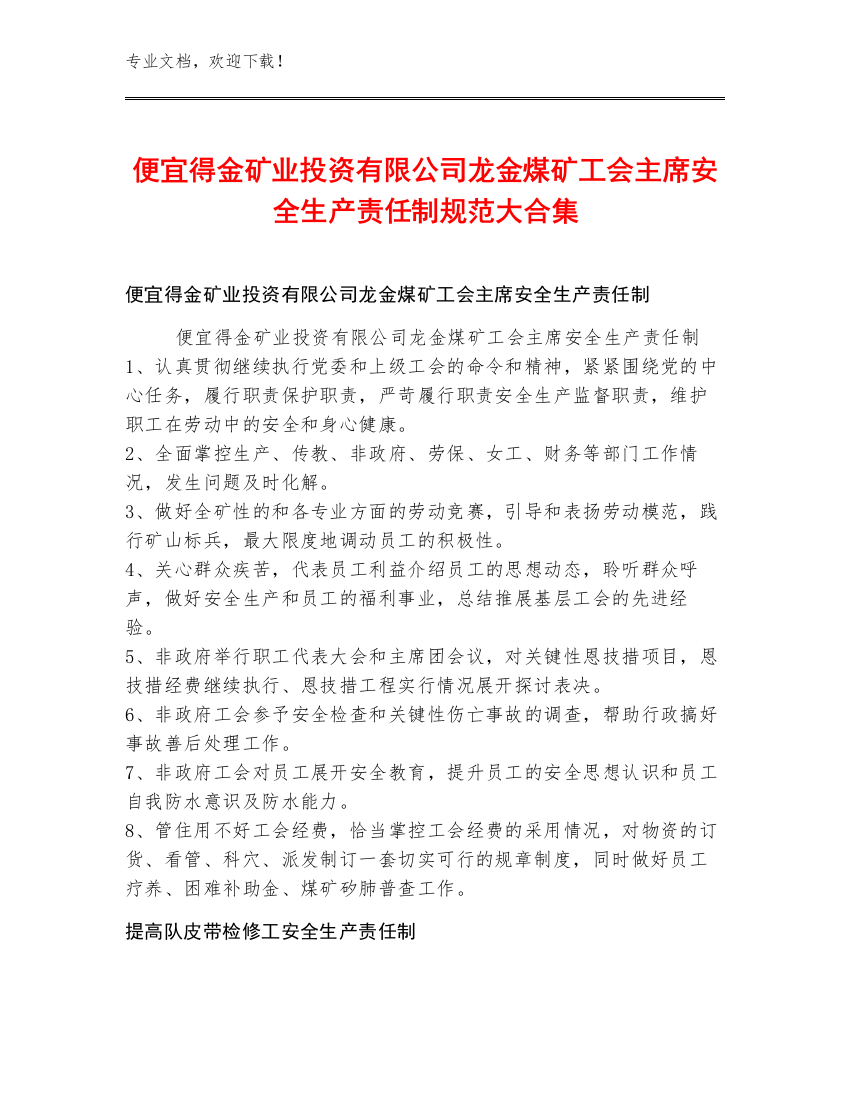 便宜得金矿业投资有限公司龙金煤矿工会主席安全生产责任制规范大合集