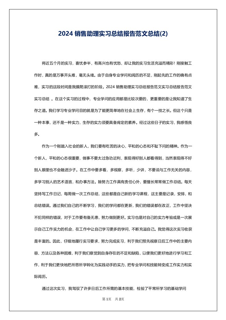 2024销售助理实习总结报告范文总结(2)