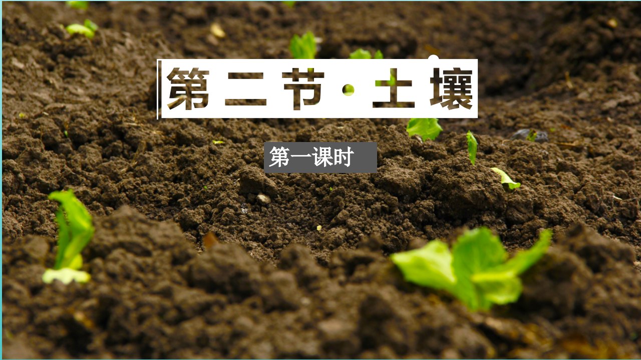 新教材高中地理第五章植被与土壤2土壤第1课时教学基础案课件新人教版必修第一册