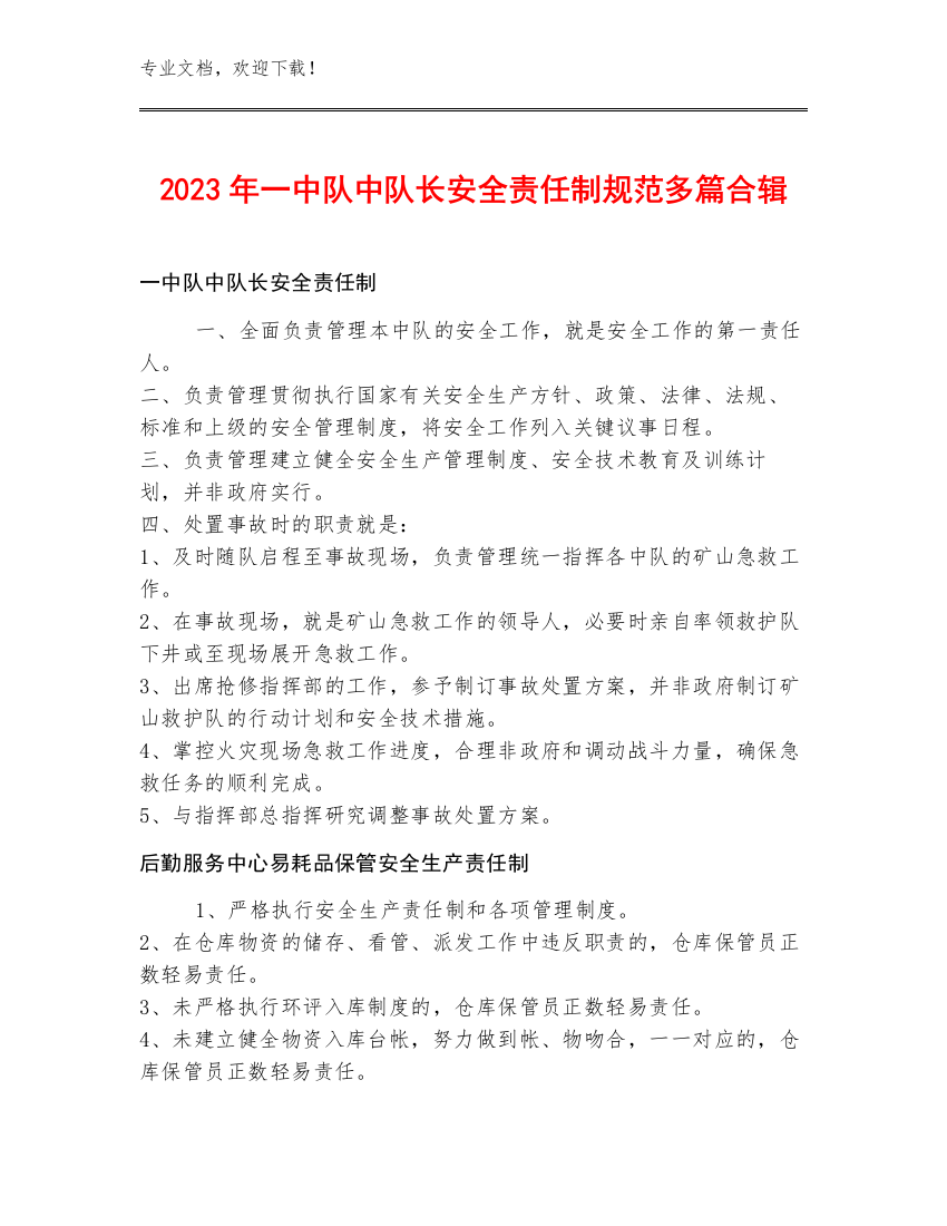 2023年一中队中队长安全责任制规范多篇合辑