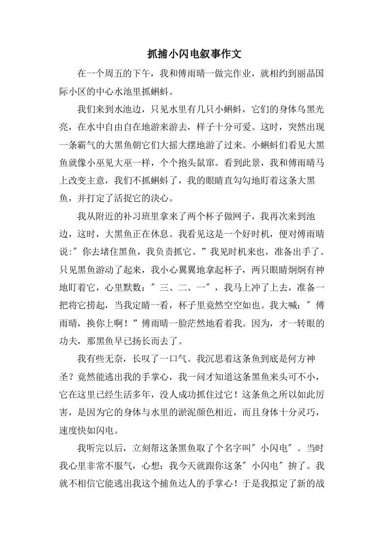 抓捕小闪电叙事作文