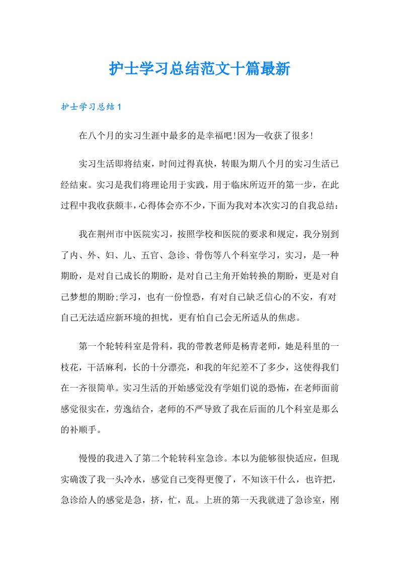 护士学习总结范文十篇最新