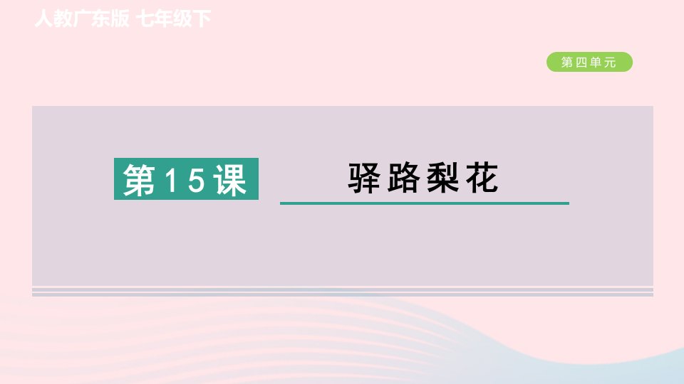 广东专版2024春七年级语文下册第四单元15驿路梨花作业课件新人教版