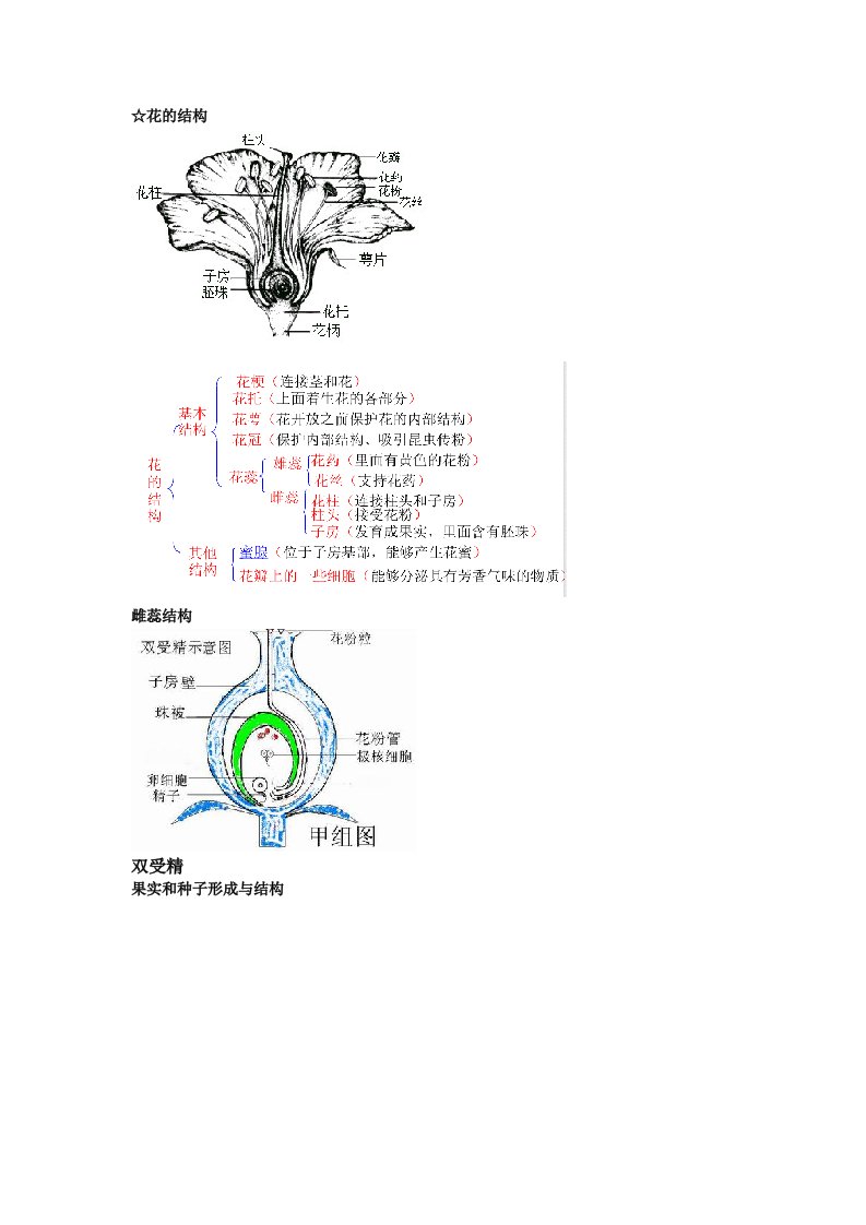 高中生物必修二第一章知识点总结