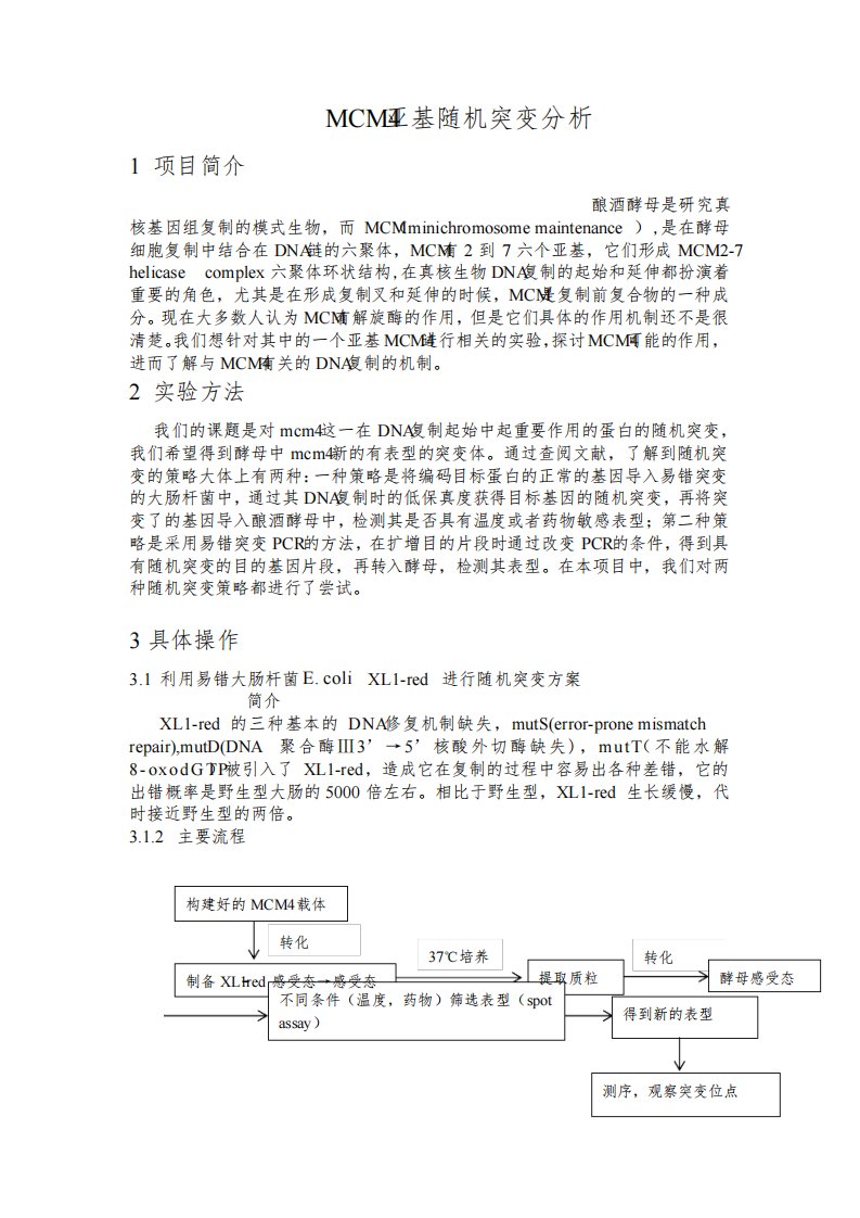 大学生创新创业训练计划结题报告——酵母MCM4亚基随机突变分析