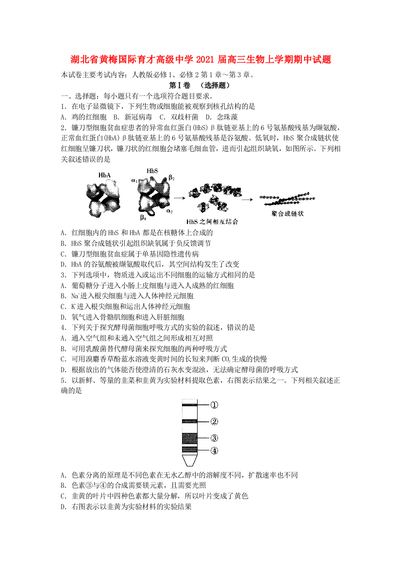 湖北省黄梅国际育才高级中学2021届高三生物上学期期中试题