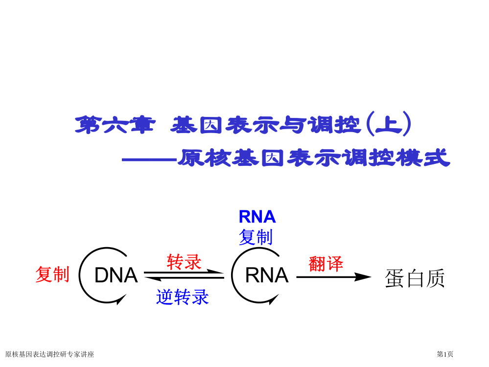 原核基因表达调控研专家讲座