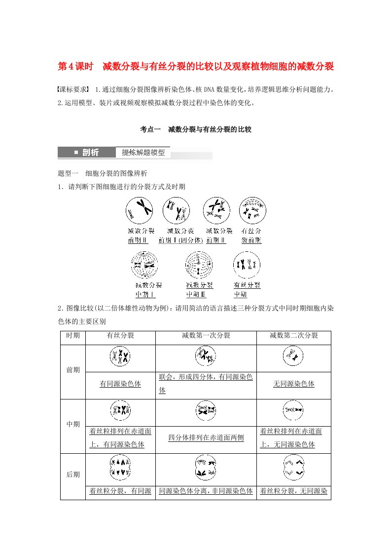 2024届高考生物一轮复习教案第四单元细胞的生命历程第4课时减数分裂与有丝分裂的比较以及观察植物细胞的减数分裂苏教版