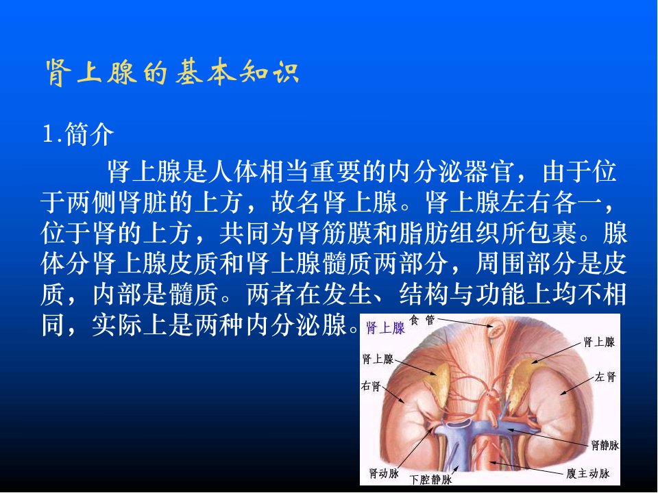 肾上腺疾病的护理ppt医学课件