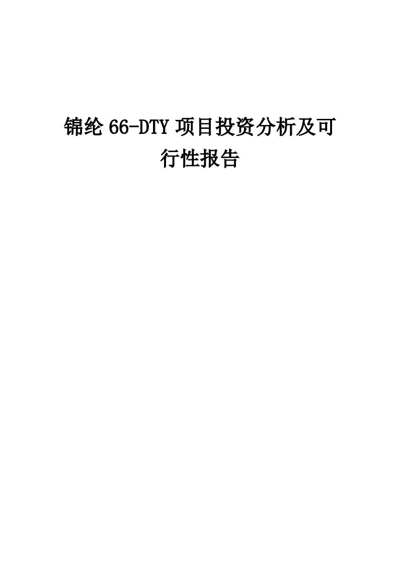 2024年锦纶66-DTY项目投资分析及可行性报告