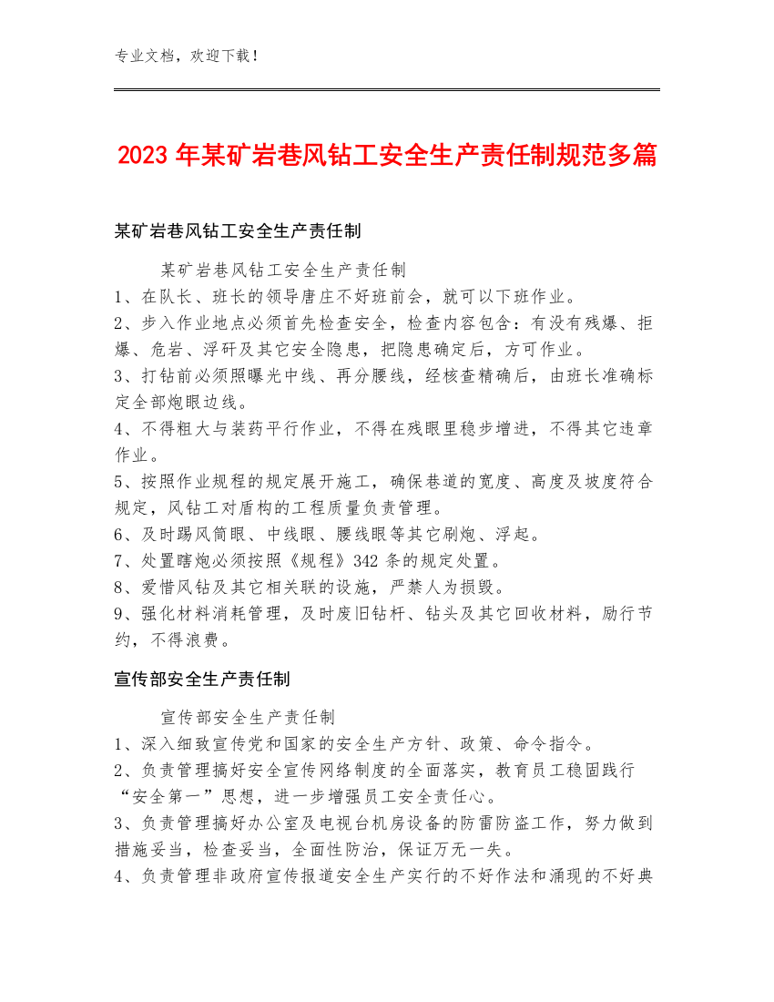 2023年某矿岩巷风钻工安全生产责任制规范多篇