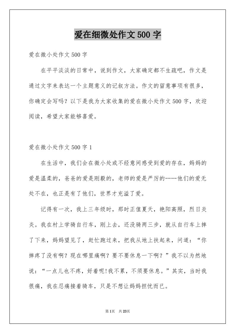 爱在细微处作文500字