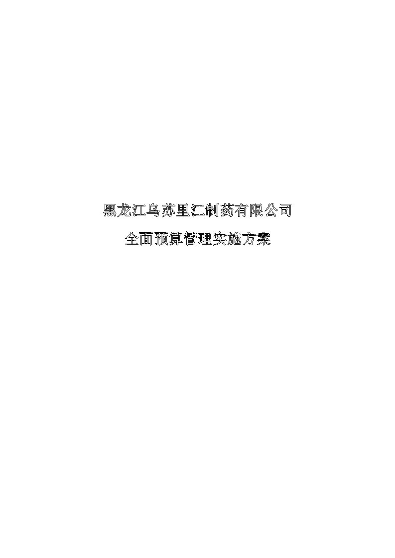 全面预算管理实施方案